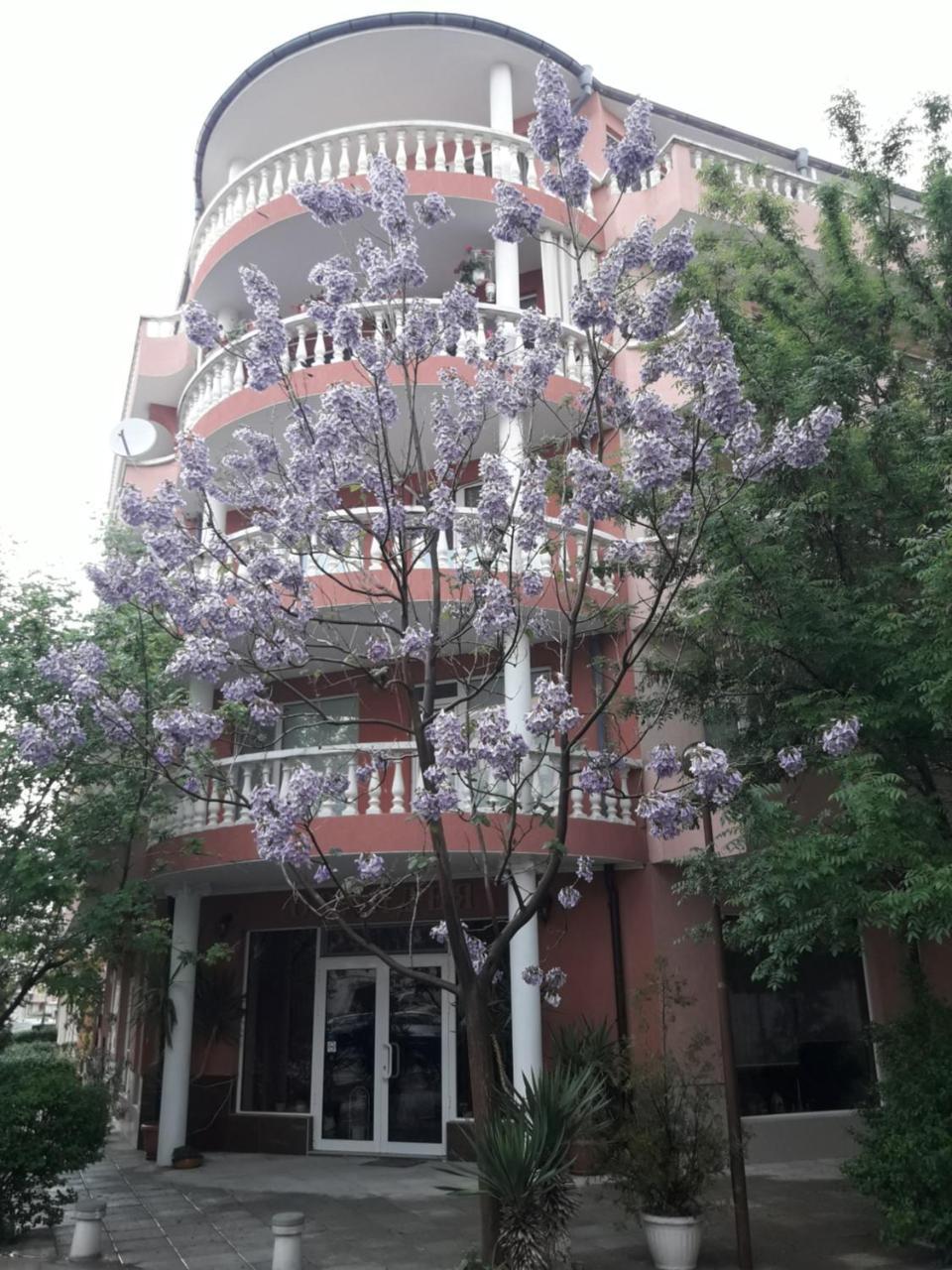 Art Guest House Orchidea 帕莫瑞 外观 照片